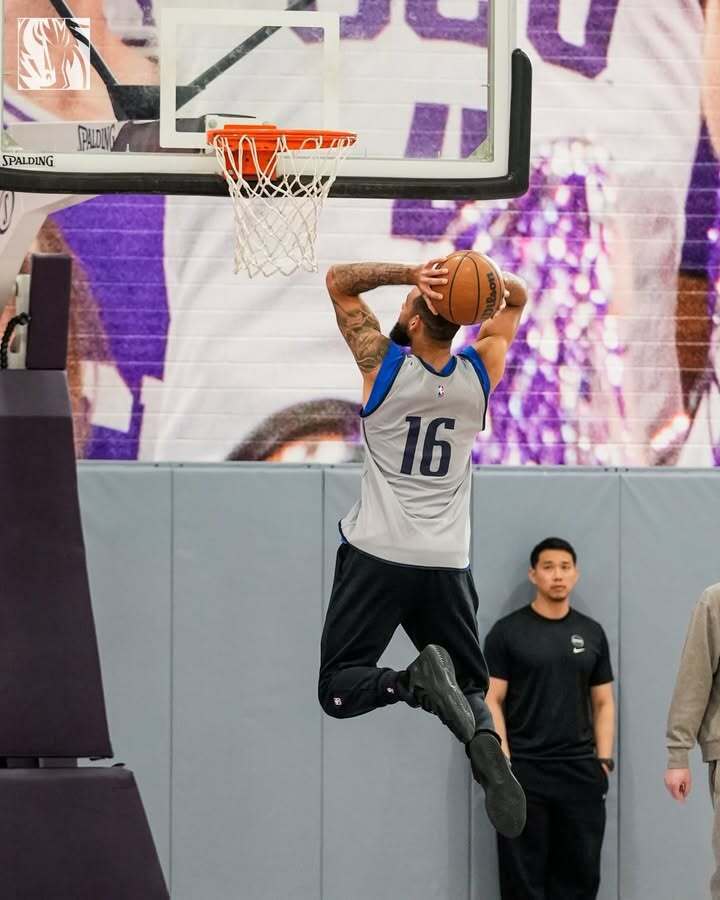  达拉斯独行侠网 