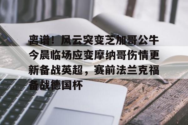 关于离谱！风云突变芝加哥公牛今晨临场应变摩纳哥伤情更新备战英超，赛前法兰克福备战德国杯的信息